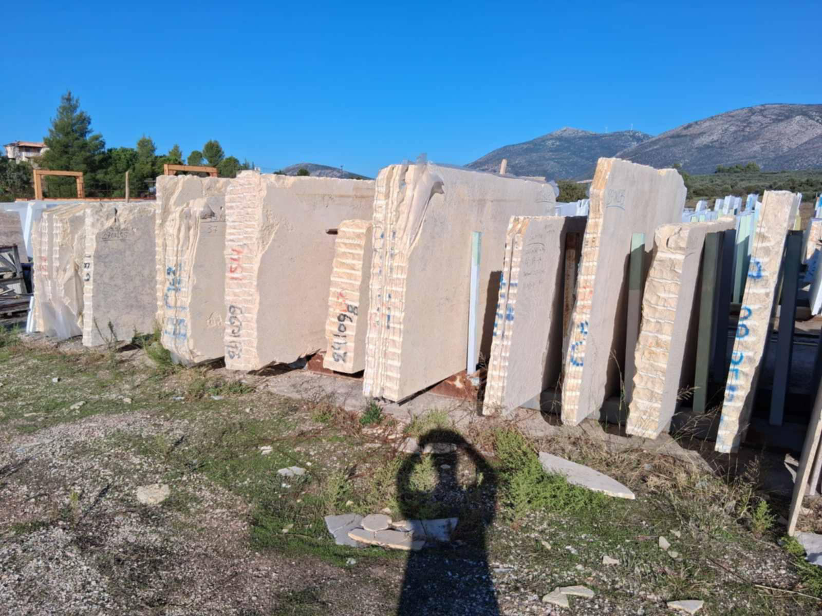 Polished Marmara slabs